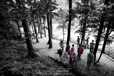 沐石杉林溪知性之旅