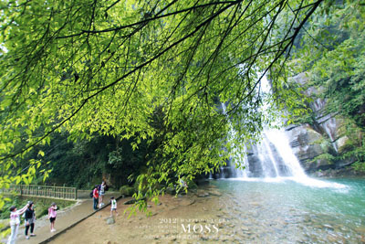 南投鹿谷小半天德興瀑布