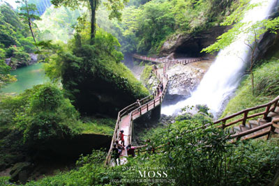 沐石杉林溪松瀧岩瀑布