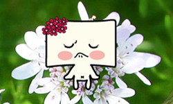 印名片-媚喜快速印制名片最新消息